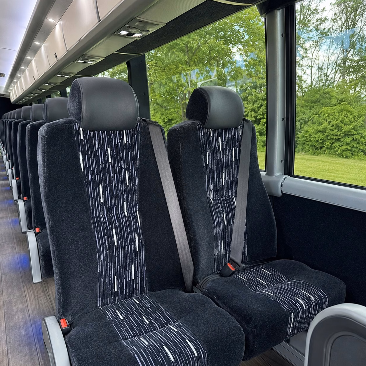 compare buses in minutes not days